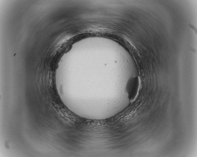 X0000096131016200802081320