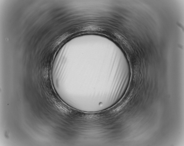X0000096131017200802081320