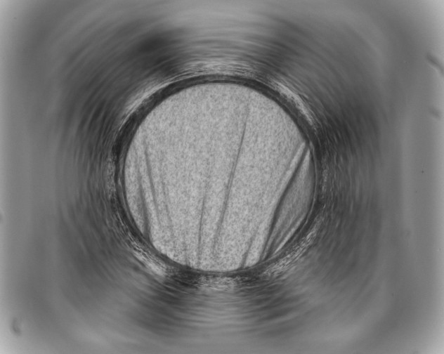X0000096131019200802081320