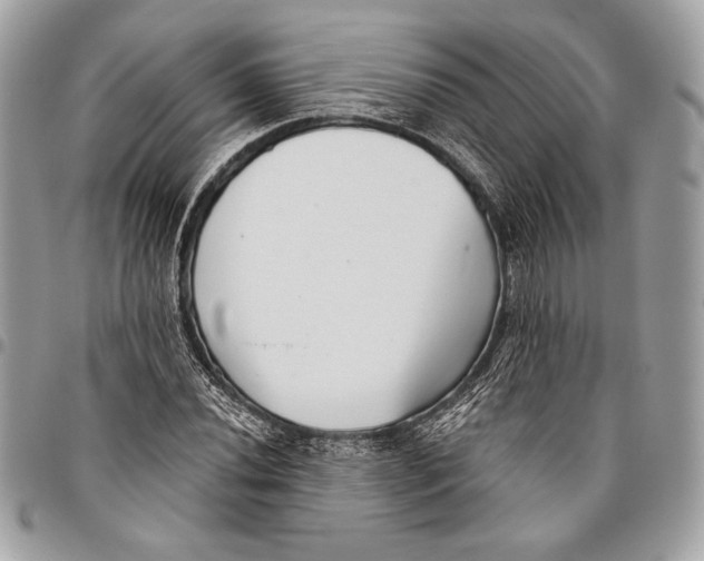 X0000096131020200802081320