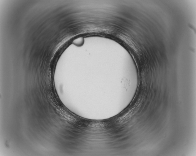 X0000096131021200802081320