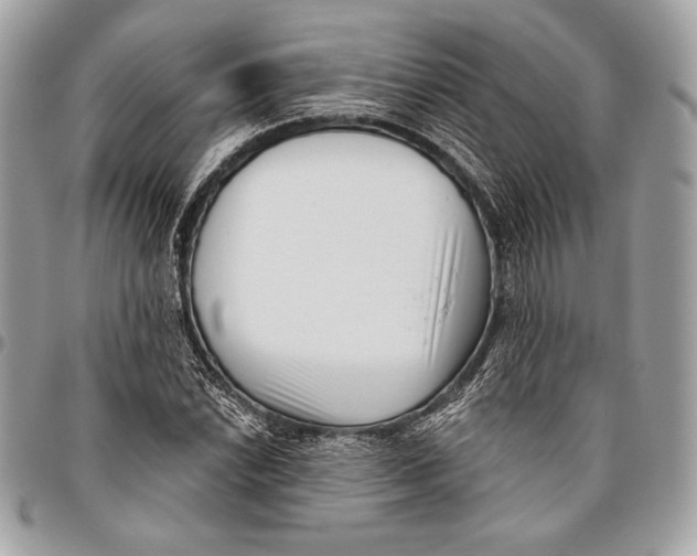X0000096131022200802081320