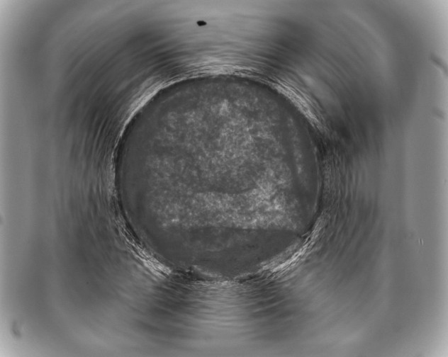 X0000096131023200802081320