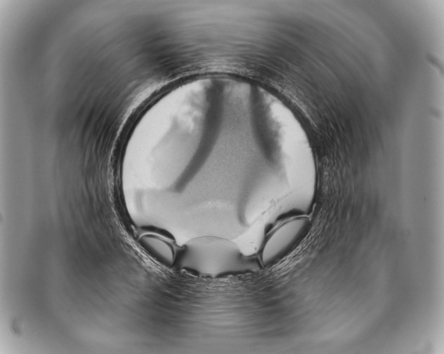 X0000096131024200802081320