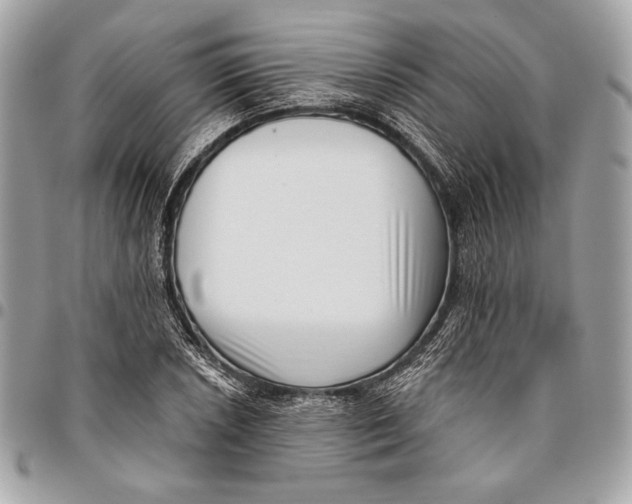 X0000096131026200802081320