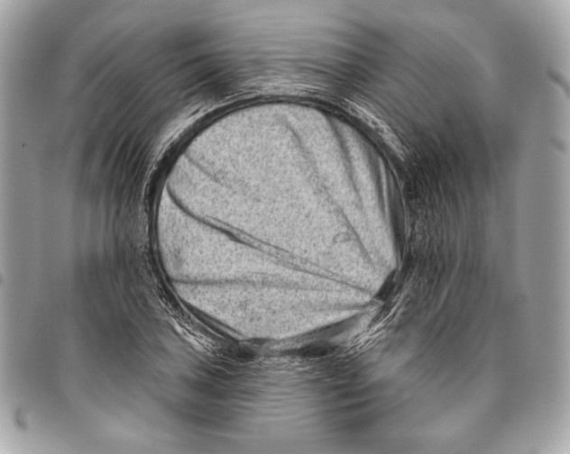 X0000096131027200802081320