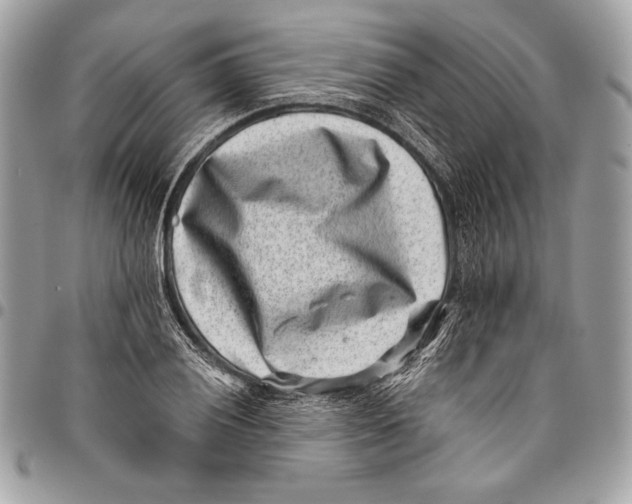 X0000096131028200802081320