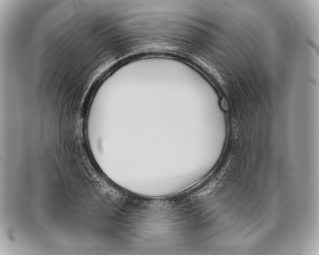 X0000096131029200802081320