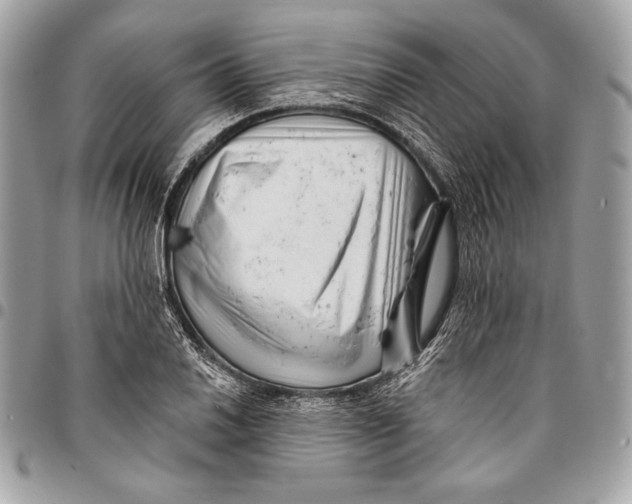X0000096131030200802081321