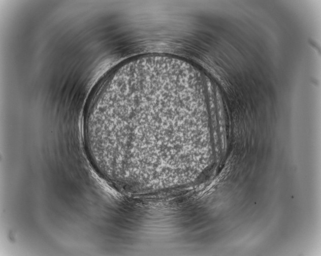 X0000096131032200802081321
