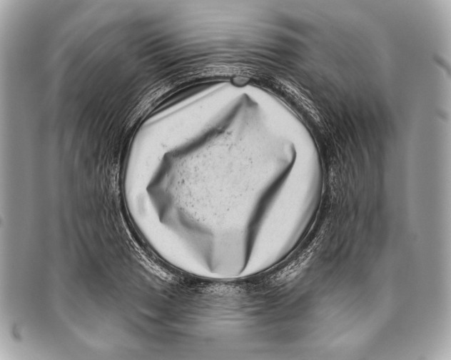 X0000096131033200802081321
