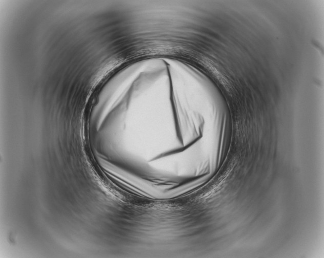 X0000096131034200802081321
