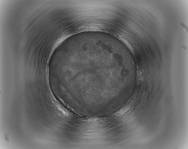 X0000096131035200802081321