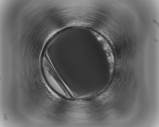 X0000096131037200802081321