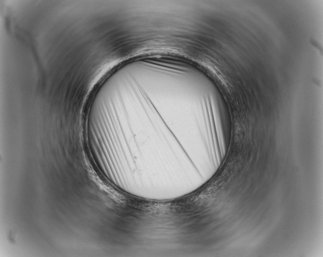 X0000096131038200802081321