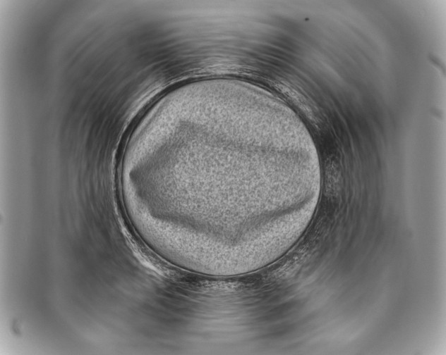 X0000096131039200802081321