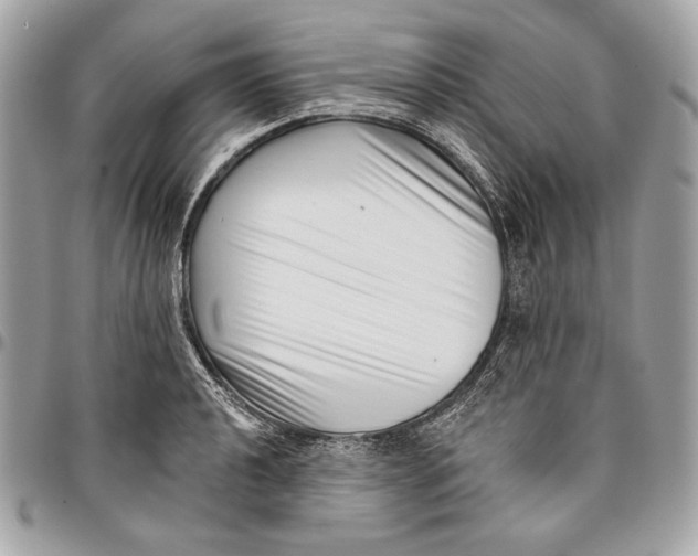 X0000096131040200802081321