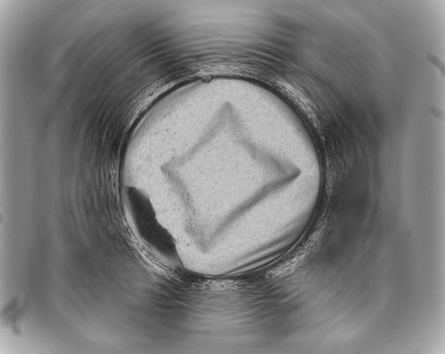 X0000096131041200802081321