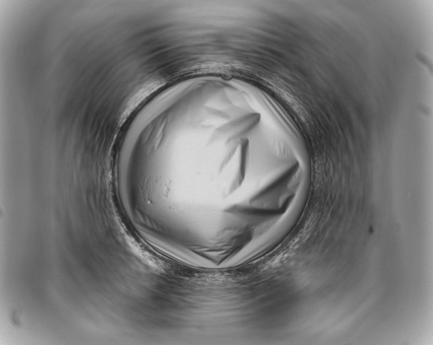 X0000096131042200802081321
