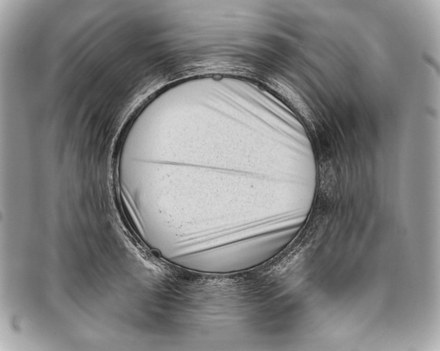 X0000096131043200802081321