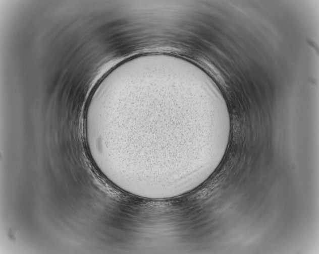 X0000096131044200802081321
