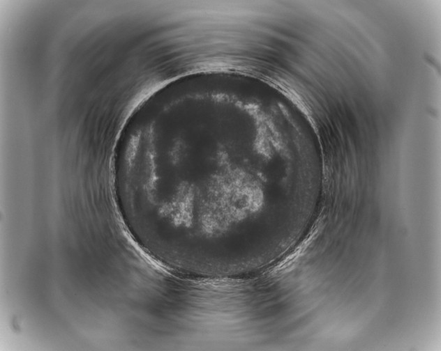 X0000096131045200802081321