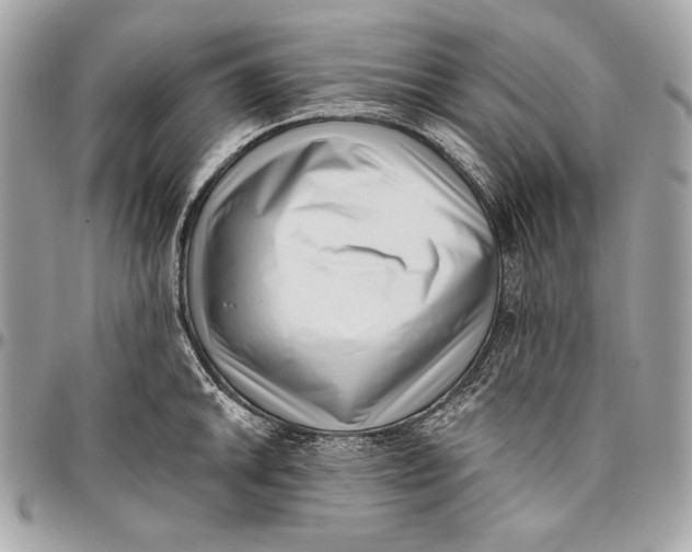 X0000096131046200802081321