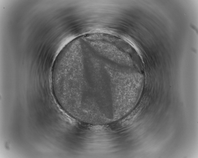 X0000096131048200802081321