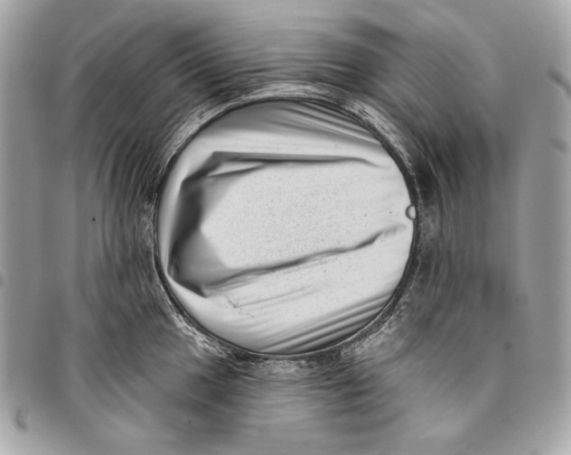 X0000096131049200802081321