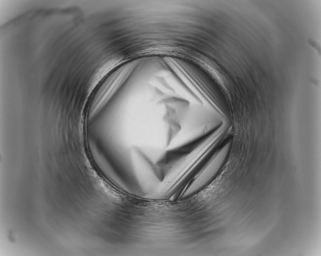 X0000096131050200802081321