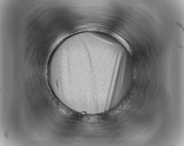 X0000096131051200802081321
