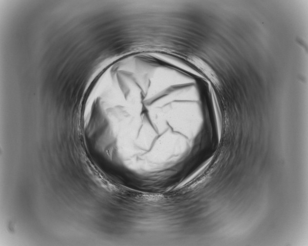 X0000096131052200802081321