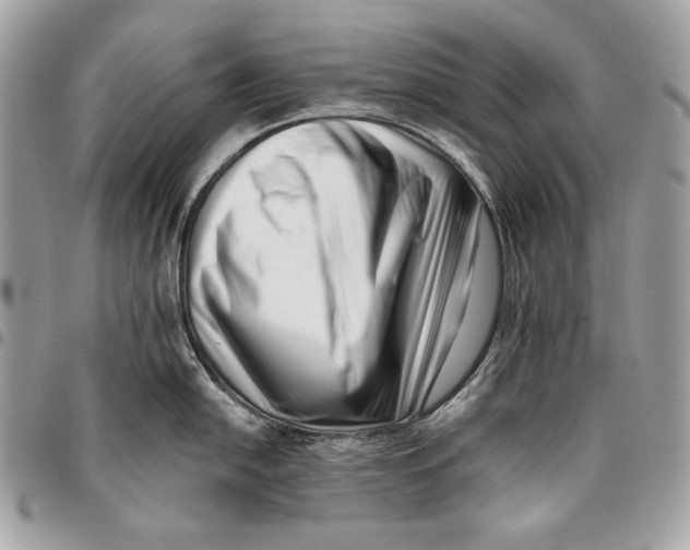 X0000096131054200802081321