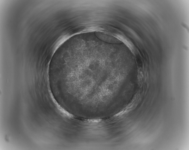 X0000096131055200802081321