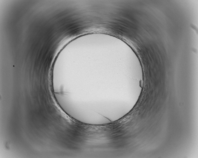 X0000096131056200802081321