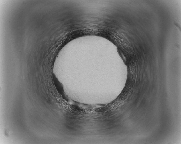 X0000096131057200802081320