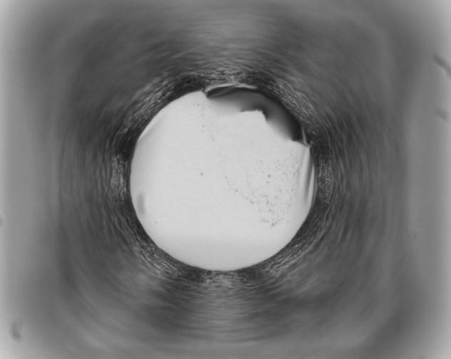 X0000096131058200802081320