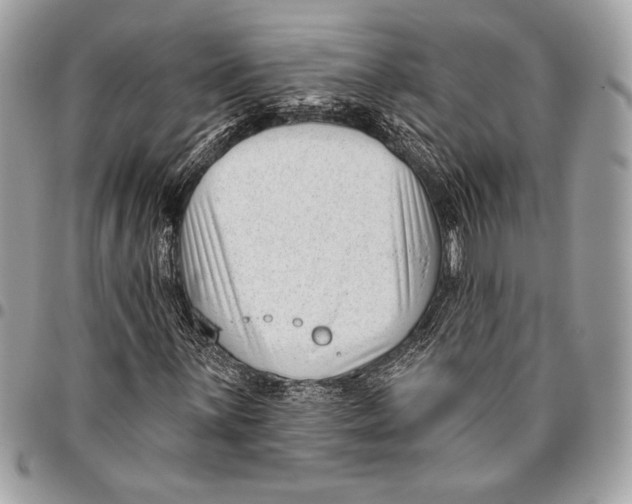 X0000096131059200802081320