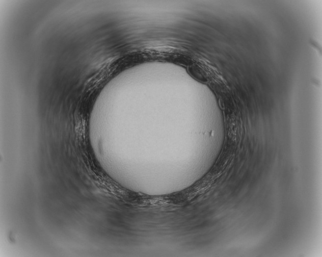 X0000096131061200802081320