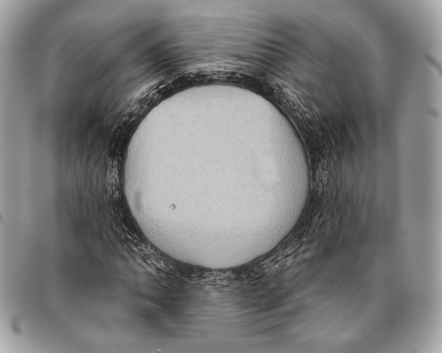 X0000096131062200802081320