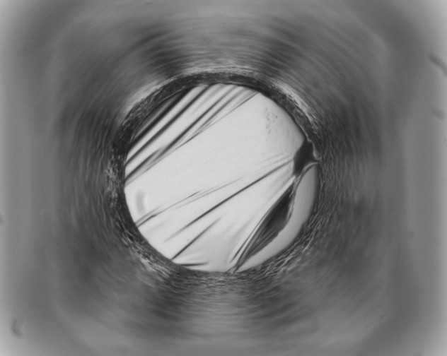 X0000096131064200802081320
