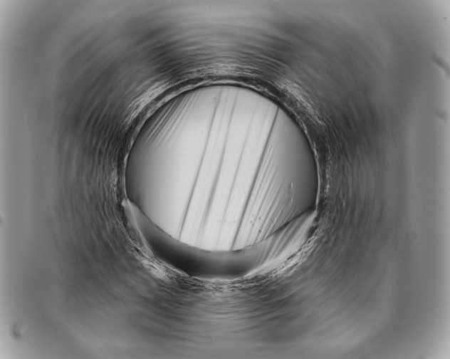 X0000096131065200802081320