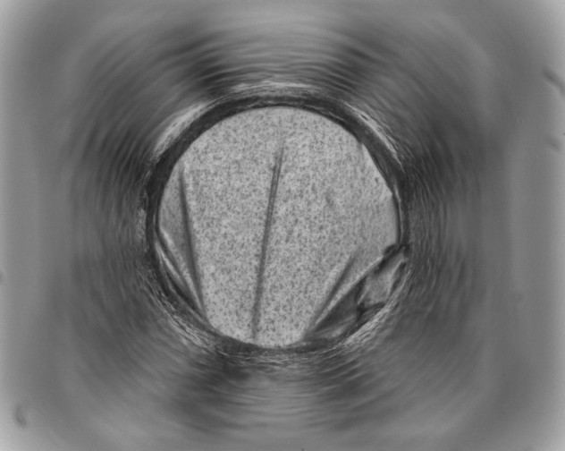 X0000096131066200802081320