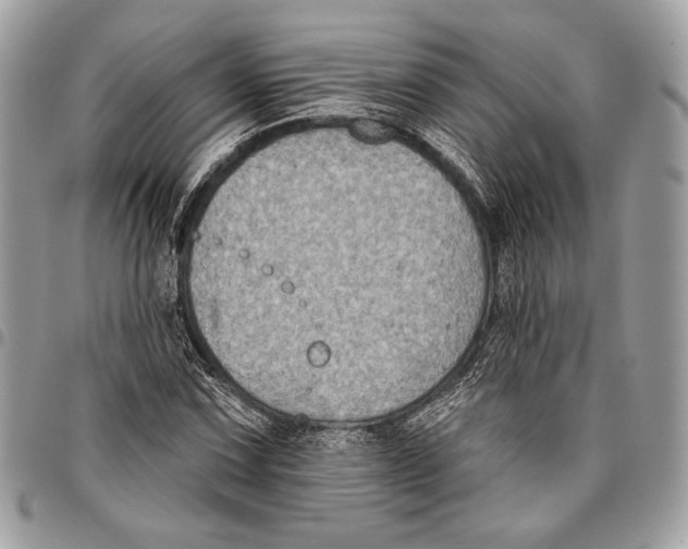 X0000096131067200802081320