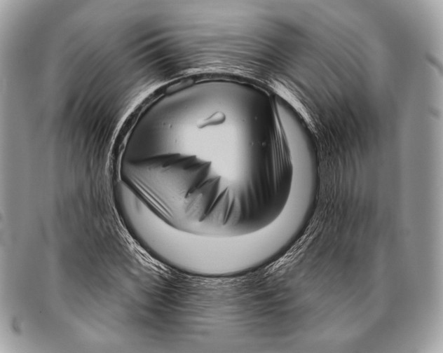 X0000096131068200802081320