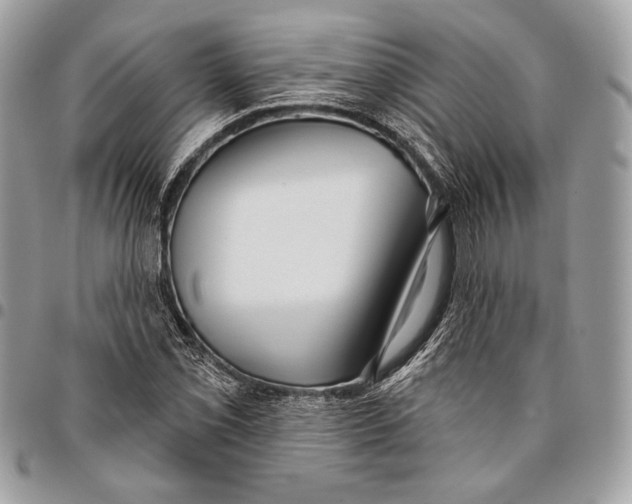 X0000096131069200802081320