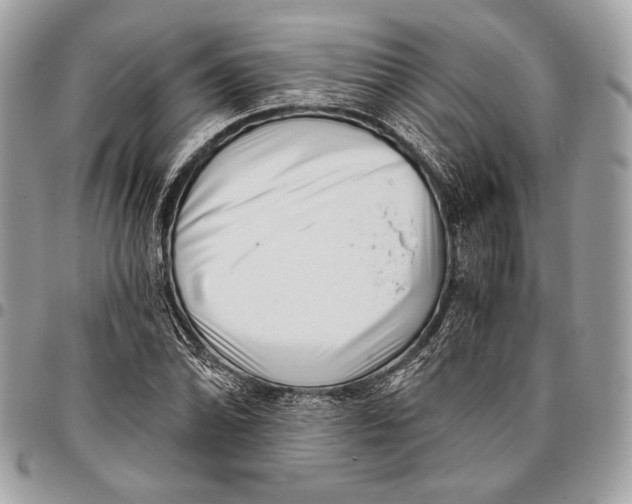 X0000096131070200802081320