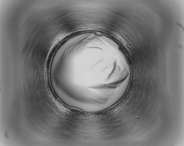 X0000096131072200802081320