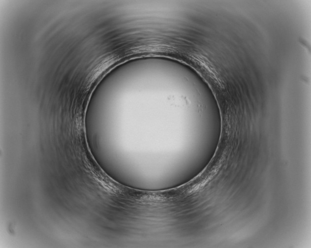 X0000096131073200802081320
