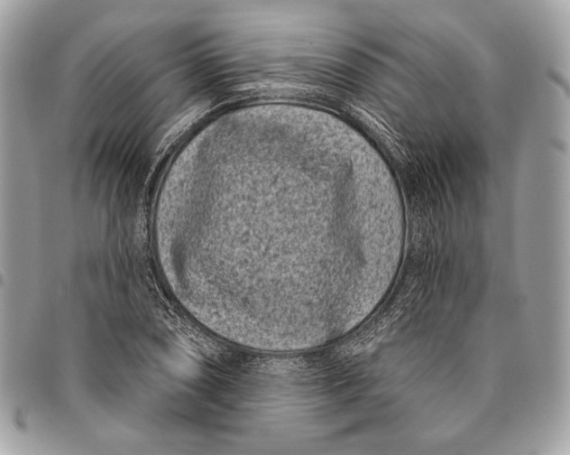 X0000096131074200802081320